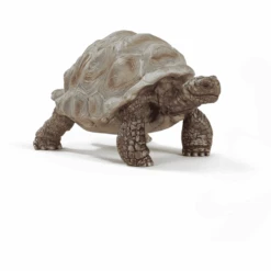 Schleich® Riesenschildkröte 14824
